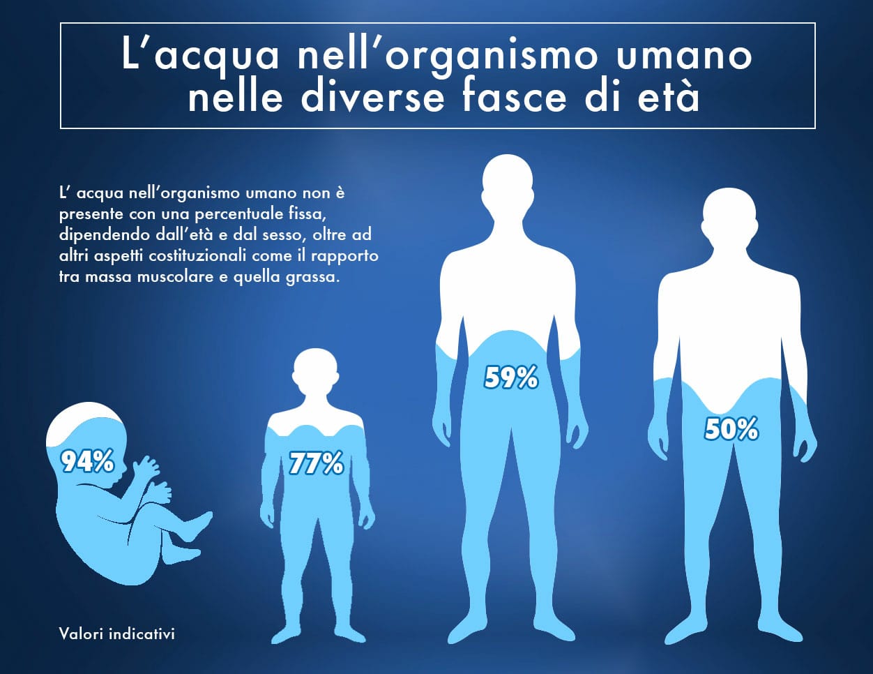 L'acqua nell'organismo umano